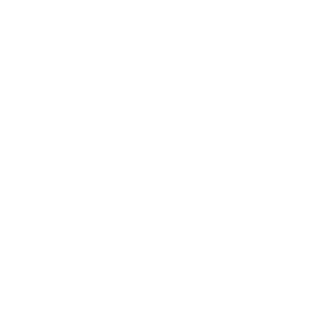 section-1-logo-1