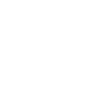 section-1-logo-3