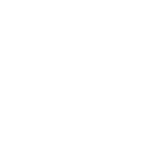 section-1-logo-4