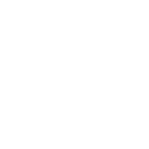 section-1-logo-6