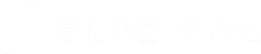 blueowl logo