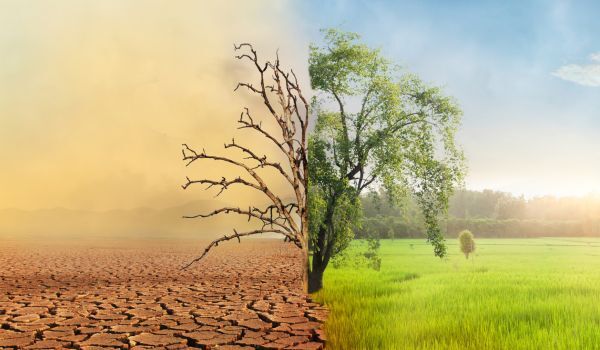 5 Key Takeaways from our Fireside Chat Webinar: The Impact of Environmental Changes on the Property Risk Market 