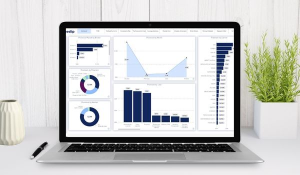 Risk Management Systems: Understanding RMIS vs. Modern Data Analytics Platforms