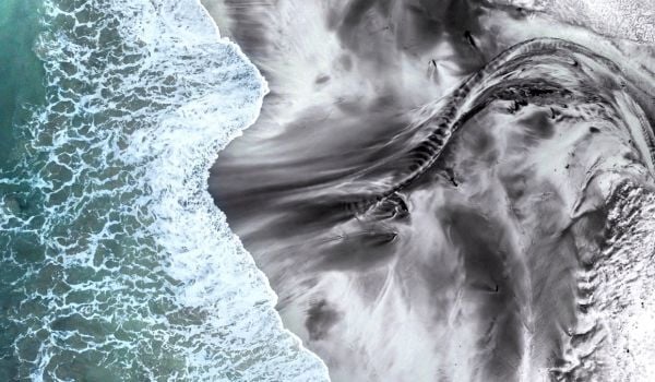 Changing Risk Landscape: Navigating Environmental, Economic, Social & Political Forces